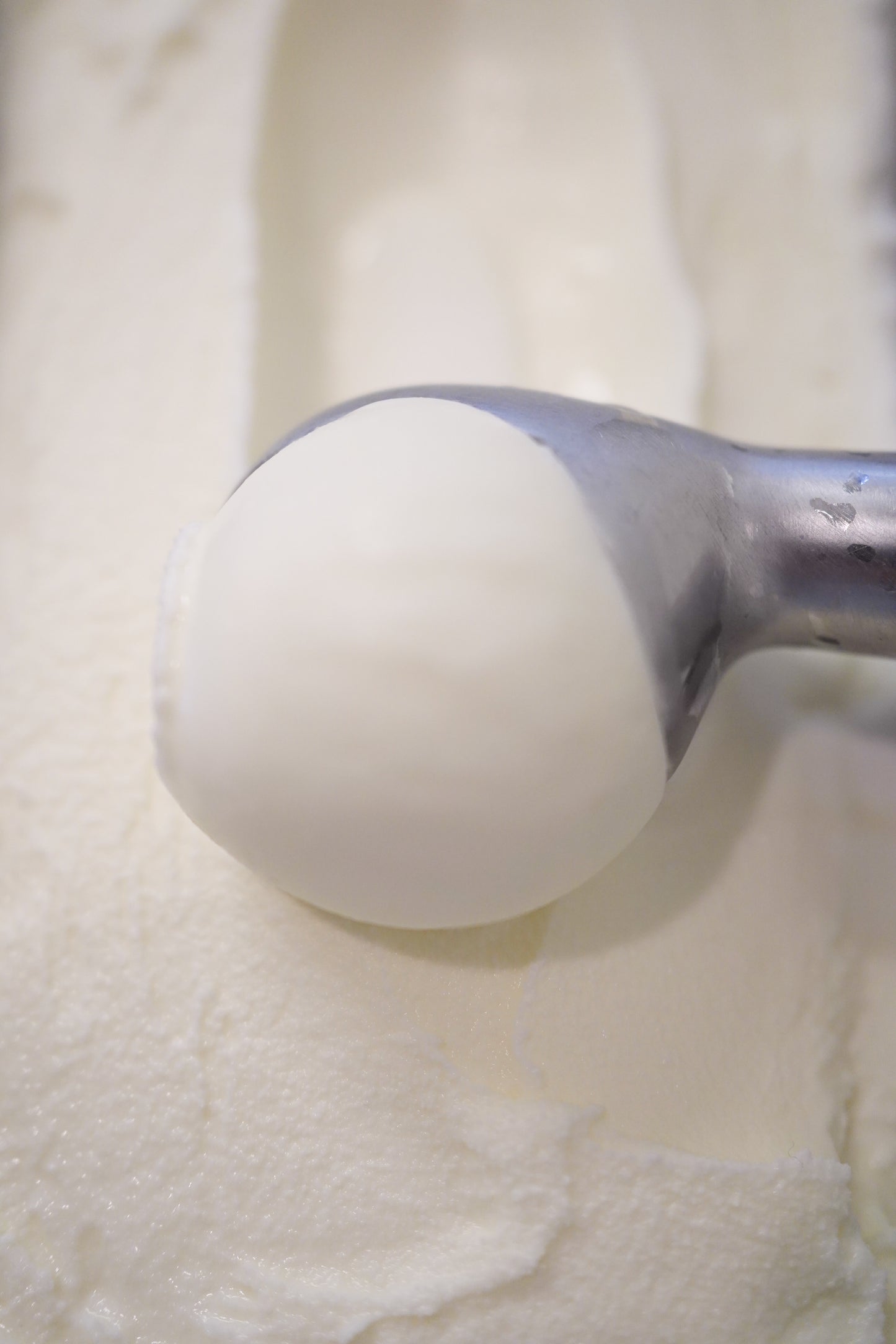 大人数で楽しめるたっぷり1.5Lバット